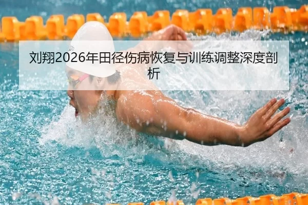 刘翔2026年田径伤病恢复与训练调整深度剖析